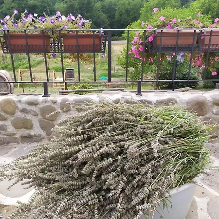 Il Mulino Di Celle Pistoia