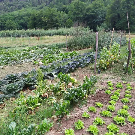 Vakantieboerderij Il Mulino Di Celle Pistoia
