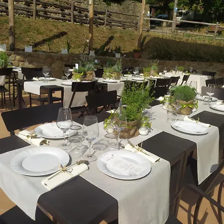 Vakantieboerderij Il Mulino Di Celle *